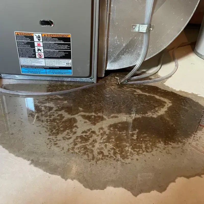 Appliance Leak Cleanup in Benitez, PR